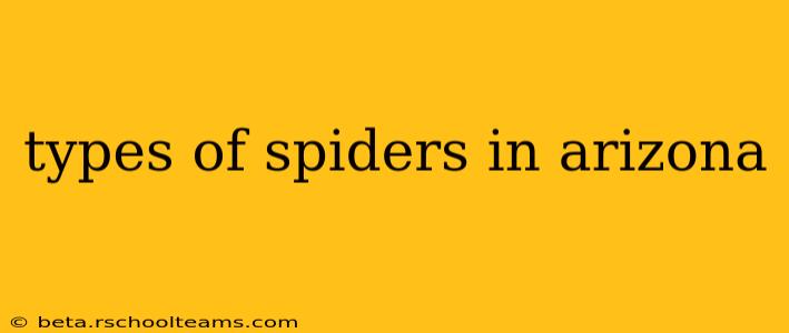 types of spiders in arizona