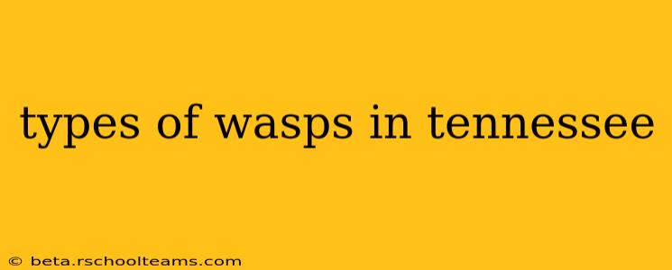 types of wasps in tennessee
