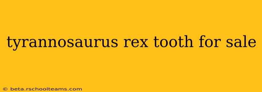 tyrannosaurus rex tooth for sale