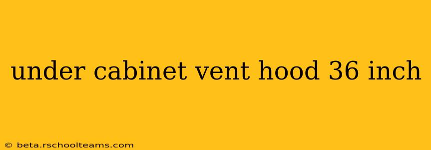 under cabinet vent hood 36 inch