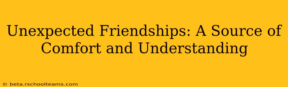 Unexpected Friendships: A Source of Comfort and Understanding