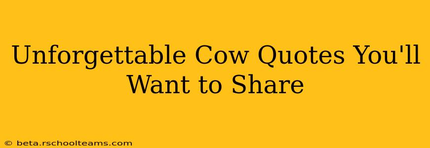 Unforgettable Cow Quotes You'll Want to Share