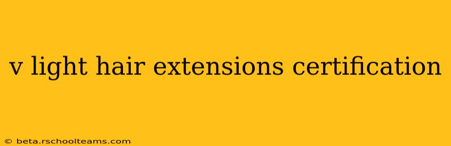 v light hair extensions certification