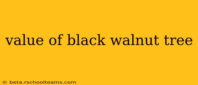 value of black walnut tree