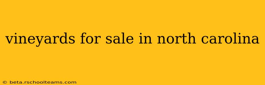 vineyards for sale in north carolina