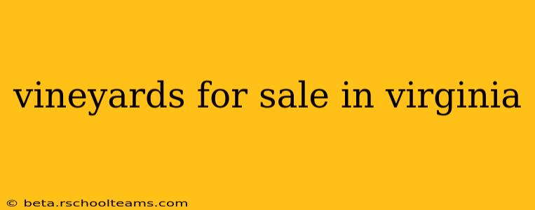 vineyards for sale in virginia