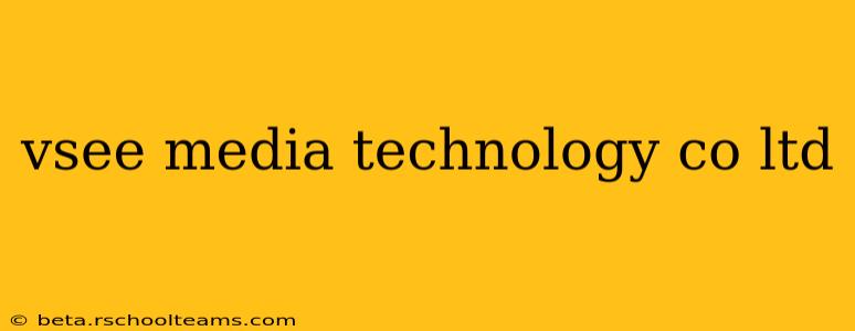 vsee media technology co ltd