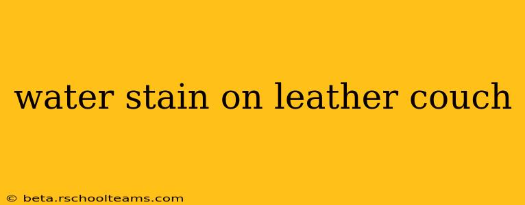 water stain on leather couch