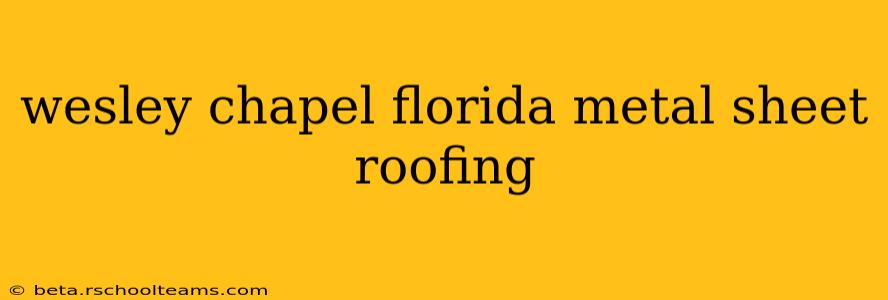 wesley chapel florida metal sheet roofing