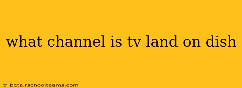 what channel is tv land on dish