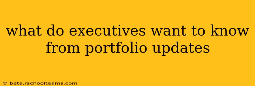what do executives want to know from portfolio updates