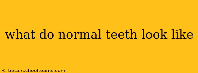 what do normal teeth look like