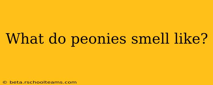 What do peonies smell like?