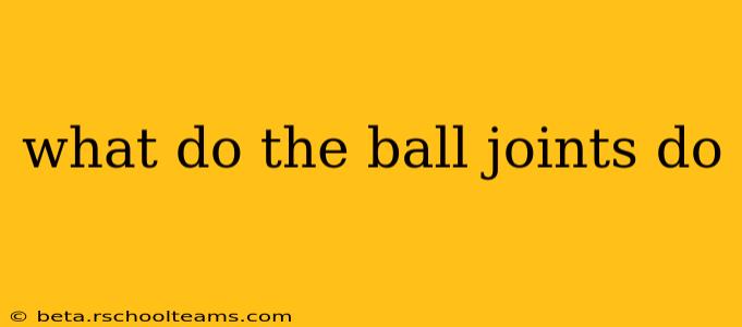 what do the ball joints do