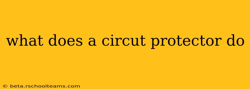 what does a circut protector do