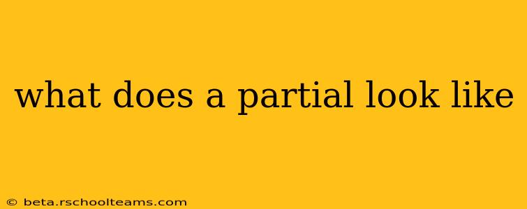 what does a partial look like