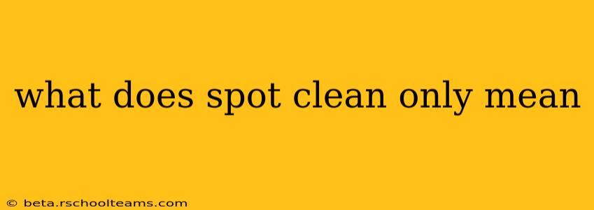 what does spot clean only mean