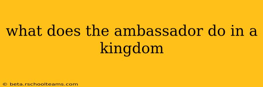 what does the ambassador do in a kingdom