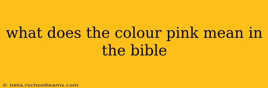 what does the colour pink mean in the bible