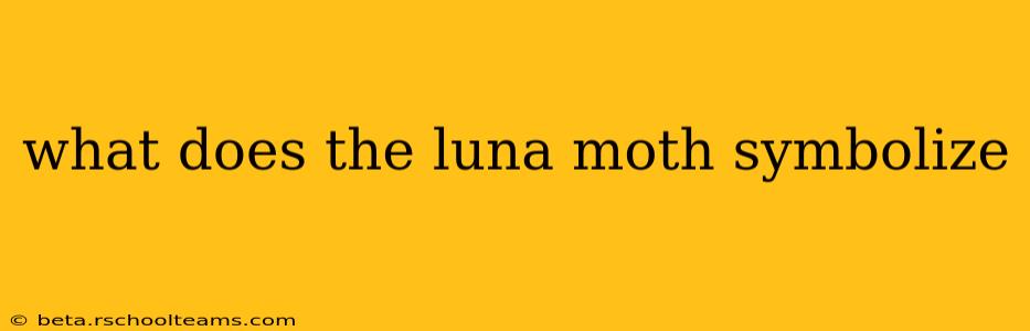what does the luna moth symbolize
