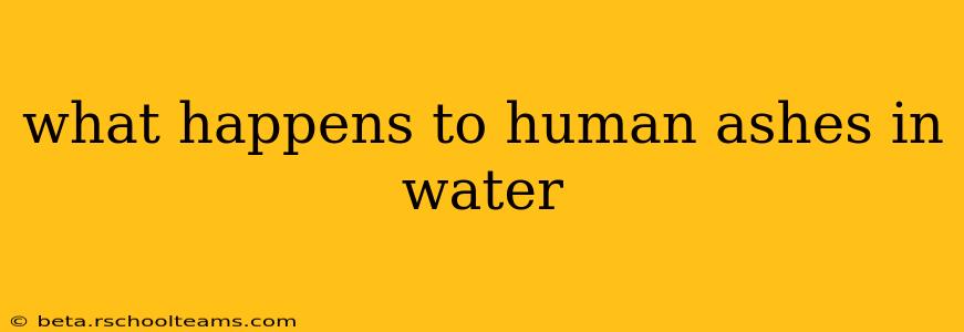 what happens to human ashes in water