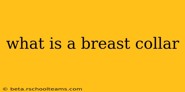 what is a breast collar
