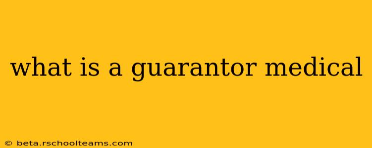 what is a guarantor medical