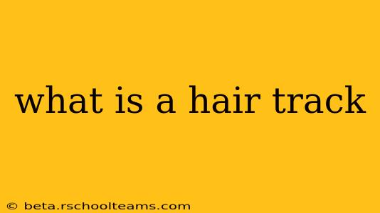 what is a hair track