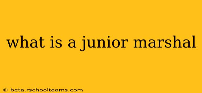 what is a junior marshal