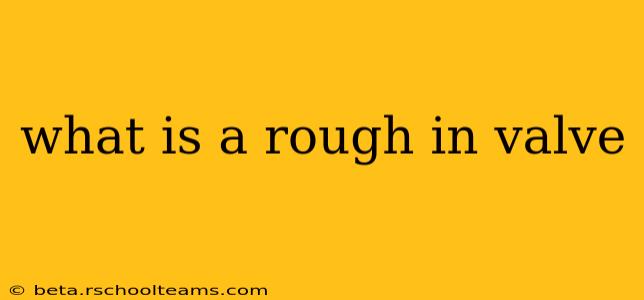 what is a rough in valve