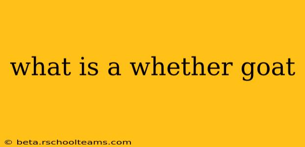 what is a whether goat