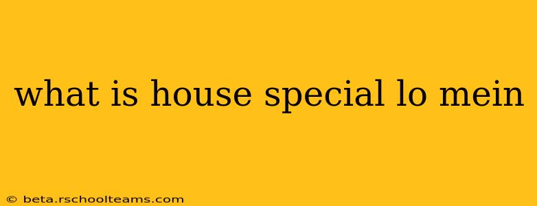 what is house special lo mein