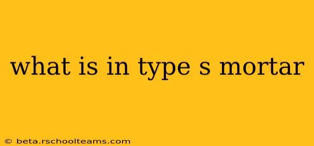 what is in type s mortar