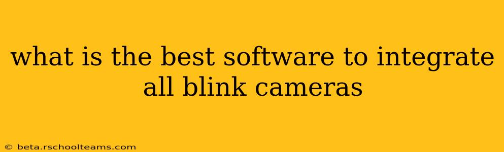 what is the best software to integrate all blink cameras