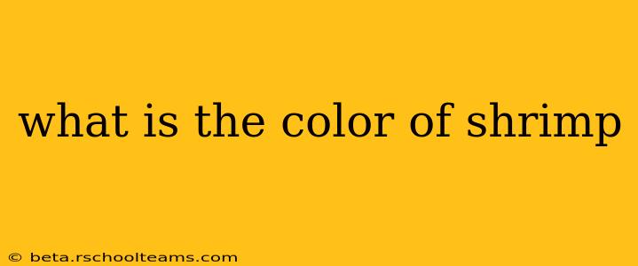 what is the color of shrimp