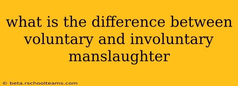 what is the difference between voluntary and involuntary manslaughter