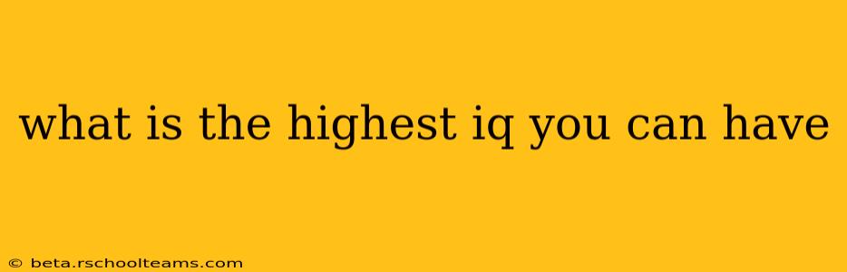 what is the highest iq you can have