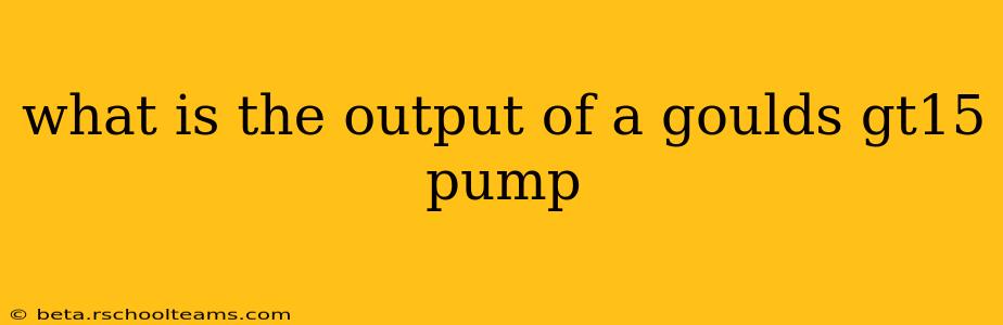what is the output of a goulds gt15 pump
