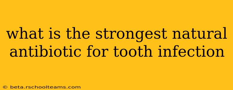 what is the strongest natural antibiotic for tooth infection