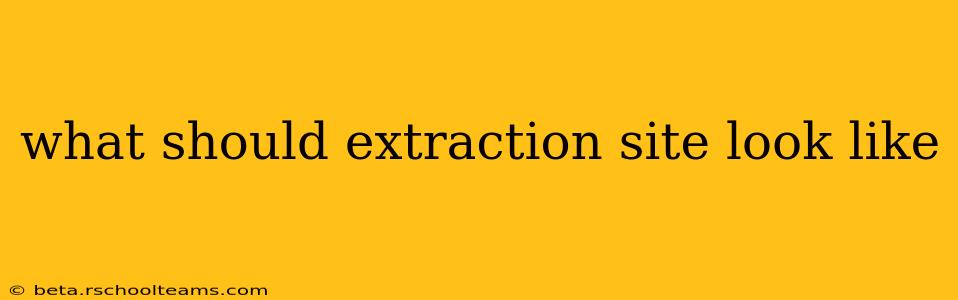 what should extraction site look like