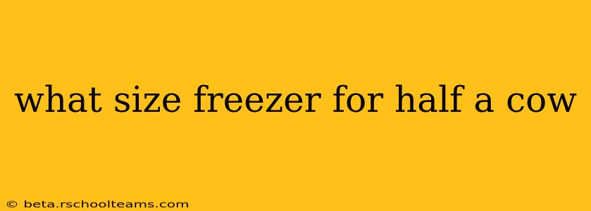 what size freezer for half a cow