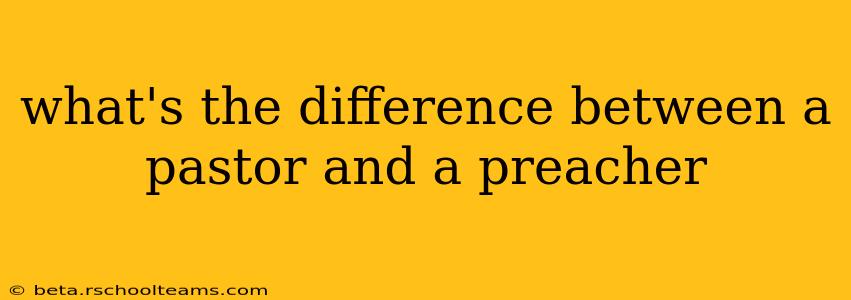 what's the difference between a pastor and a preacher