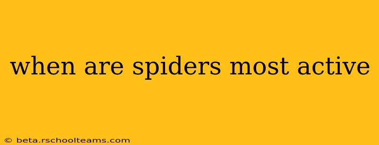 when are spiders most active