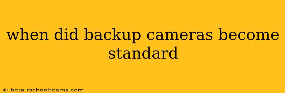 when did backup cameras become standard