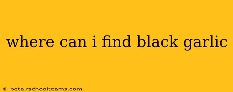 where can i find black garlic