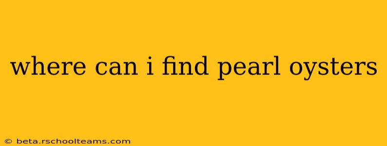 where can i find pearl oysters