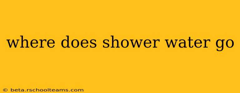 where does shower water go