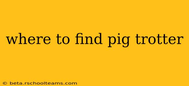 where to find pig trotter