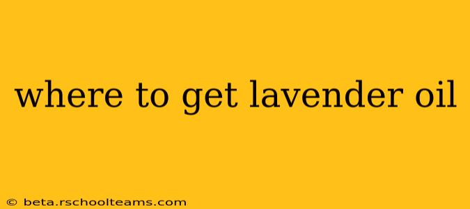 where to get lavender oil