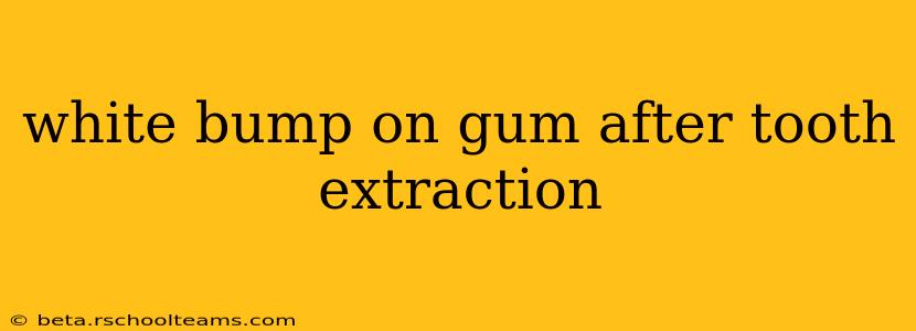 white bump on gum after tooth extraction